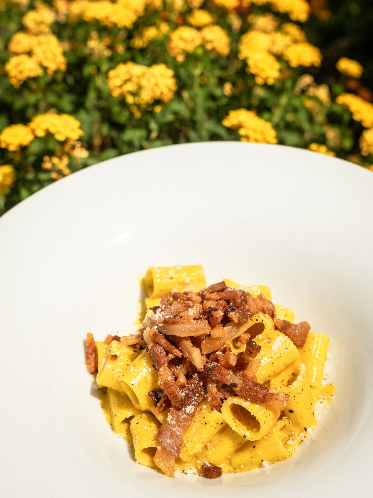 Carbonara di mezze maniche col guanciale, servita in giardino tra fiori gialli